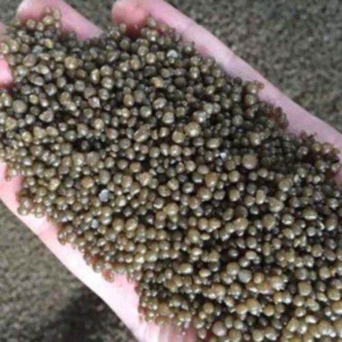 DAP Diammonium Phosphate